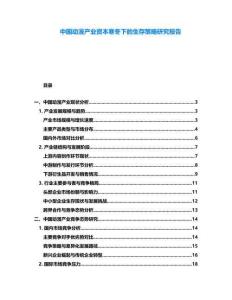 中國動漫產(chǎn)業(yè)資本寒冬下的生存策略研究報(bào)告