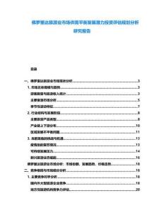 佛羅里達(dá)旅游業(yè)市場供需平衡發(fā)展?jié)摿ν顿Y評估規(guī)劃分析研究報(bào)告