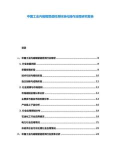 中國工業內窺鏡管道檢測標準化操作流程研究報告
