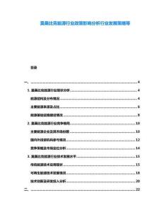 莫桑比克能源行業政策影響分析行業發展策略等