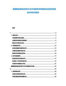 美國新能源電池材料行業(yè)市場趨勢供需格局及投資風險規(guī)劃分析研究報告