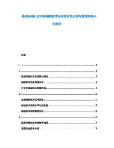 能源存儲行業(yè)市場儲能技術(shù)應用及政策支持與管理策略研究報告