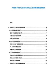 中國電子支付行業市場分析及行業前景發展趨勢報告