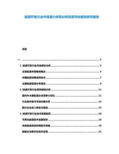 能源開發(fā)行業(yè)市場潛力供需分析投資評估規(guī)劃研究報告