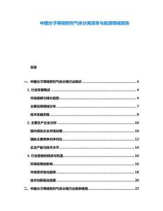 中國分子篩吸附劑氣體分離效率與能源領(lǐng)域報告
