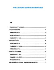 中國工業互聯網平臺建設及商業化路徑研究報告