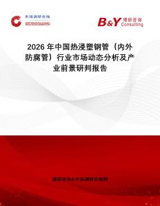 2026年中國熱浸塑鋼管（內(nèi)外防腐管）行業(yè)市場動態(tài)分析及產(chǎn)業(yè)前景研判報(bào)告