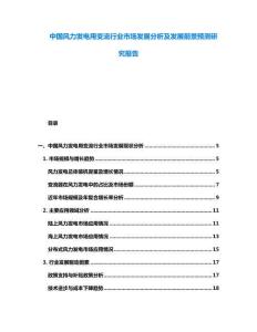 中國風力發電用變流行業市場發展分析及發展前景預測研究報告