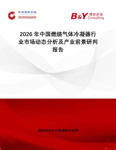 2026年中國燃燒氣體冷凝器行業(yè)市場動態(tài)分析及產(chǎn)業(yè)前景研判報告
