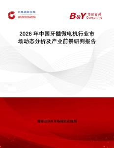 2026年中國牙髓微電機行業市場動態分析及產業前景研判報告