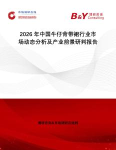 2026年中國牛仔背帶裙行業市場動態分析及產業前景研判報告