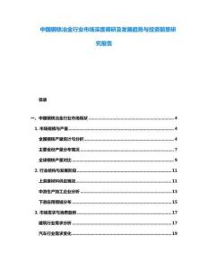 中國鋼鐵冶金行業市場深度調研及發展趨勢與投資前景研究報告
