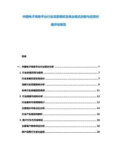 中國電子商務平臺行業深度調研及商業模式創新與投資價值評估報告