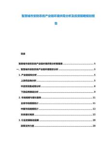 智慧城市安防系統(tǒng)產(chǎn)業(yè)鏈環(huán)境供需分析及投資前瞻規(guī)劃報(bào)告