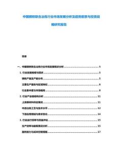 中國鋼鐵聯(lián)合冶煉行業(yè)市場發(fā)展分析及趨勢前景與投資戰(zhàn)略研究報告