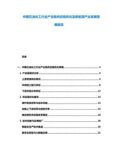 中國石油化工行業產業鏈供應鏈優化及新能源產業發展策略報告