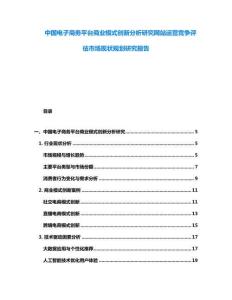 中國電子商務平臺商業模式創新分析研究網站運營競爭評估市場現狀規劃研究報告
