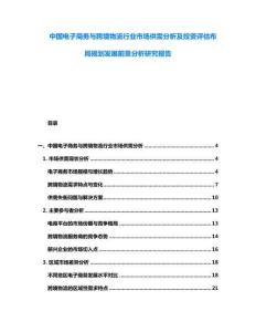 中國電子商務與跨境物流行業市場供需分析及投資評估布局規劃發展前景分析研究報告