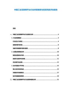 中國工業(yè)互聯(lián)網(wǎng)平臺行業(yè)供需格局與投資風(fēng)險評估報告