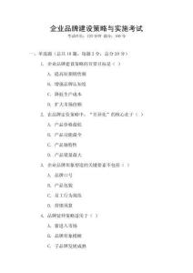 企業品牌建設策略與實施考試