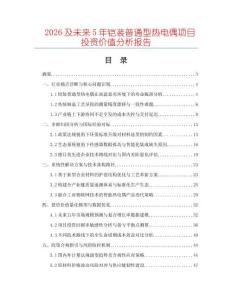 2026及未來(lái)5年鎧裝普通型熱電偶項(xiàng)目投資價(jià)值分析報(bào)告