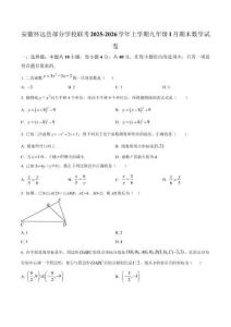 安徽省蚌埠市懷遠(yuǎn)縣部分學(xué)校2025-2026學(xué)年九年級(jí)上學(xué)期1月期末數(shù)學(xué)試題