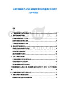 中國彩票銷售行業(yè)市場深度調(diào)研及市場規(guī)模增長與消費行為分析報告