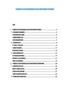 中國機床冷卻系統智能化改造與維護服務市場報告