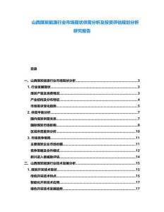山西煤炭能源行業市場現狀供需分析及投資評估規劃分析研究報告