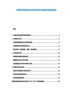 中國多用途貨船市場供需狀況與戰略投資規劃報告