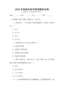 2025年物理電磁學(xué)原理解析試卷