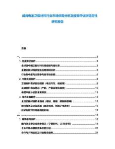 威肯電池正極材料行業(yè)市場供需分析及投資評估熱穩(wěn)定性研究報(bào)告