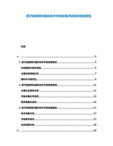 原子能核燃料循環技術市場發展評估現狀規劃報告