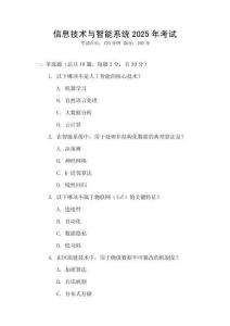 信息技術與智能系統2025年考試