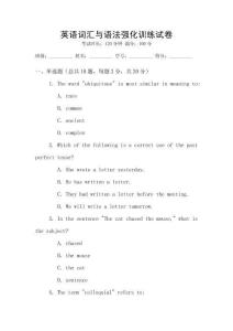 英語詞匯與語法強(qiáng)化訓(xùn)練試卷