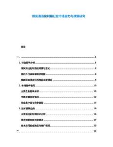 煤炭清潔化利用行業市場潛力與政策研究