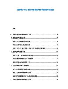 中國電子支付行業市場格局與未來前景分析報告