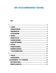 數字廣告行業大數據精準營銷及廣告技術報告