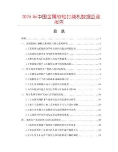 2025年中國(guó)金屬軟軸打磨機(jī)數(shù)據(jù)監(jiān)測(cè)報(bào)告