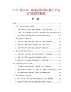 2026及未來5年手動單梁起重機項目可行性研究報告