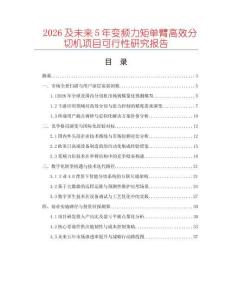 2026及未來5年變頻力矩單臂高效分切機項目可行性研究報告