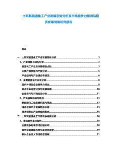 土耳其能源化工產(chǎn)業(yè)發(fā)展態(tài)勢分析及市場競爭力預(yù)測與投資發(fā)展戰(zhàn)略研究報告