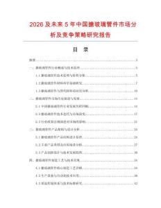 2026及未來5年中國搪玻璃管件市場分析及競爭策略研究報告