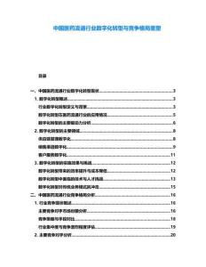 中國醫(yī)藥流通行業(yè)數(shù)字化轉(zhuǎn)型與競爭格局重塑