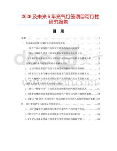 2026及未來5年充氣燈籠項目可行性研究報告