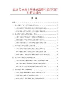 2026及未來(lái)5年硅單晶磨片項(xiàng)目可行性研究報(bào)告