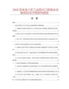 2026及未來5年工業(yè)用大口徑熱水水表項(xiàng)目可行性研究報(bào)告