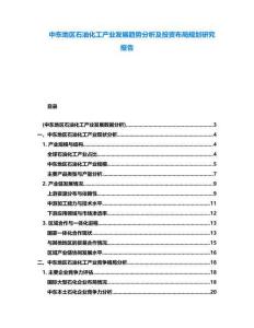 中東地區(qū)石油化工產(chǎn)業(yè)發(fā)展趨勢分析及投資布局規(guī)劃研究報告