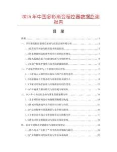 2025年中國多彩漸變程控器數(shù)據(jù)監(jiān)測報(bào)告