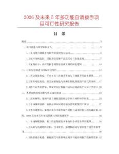 2026及未來5年多功能自調(diào)扳手項目可行性研究報告